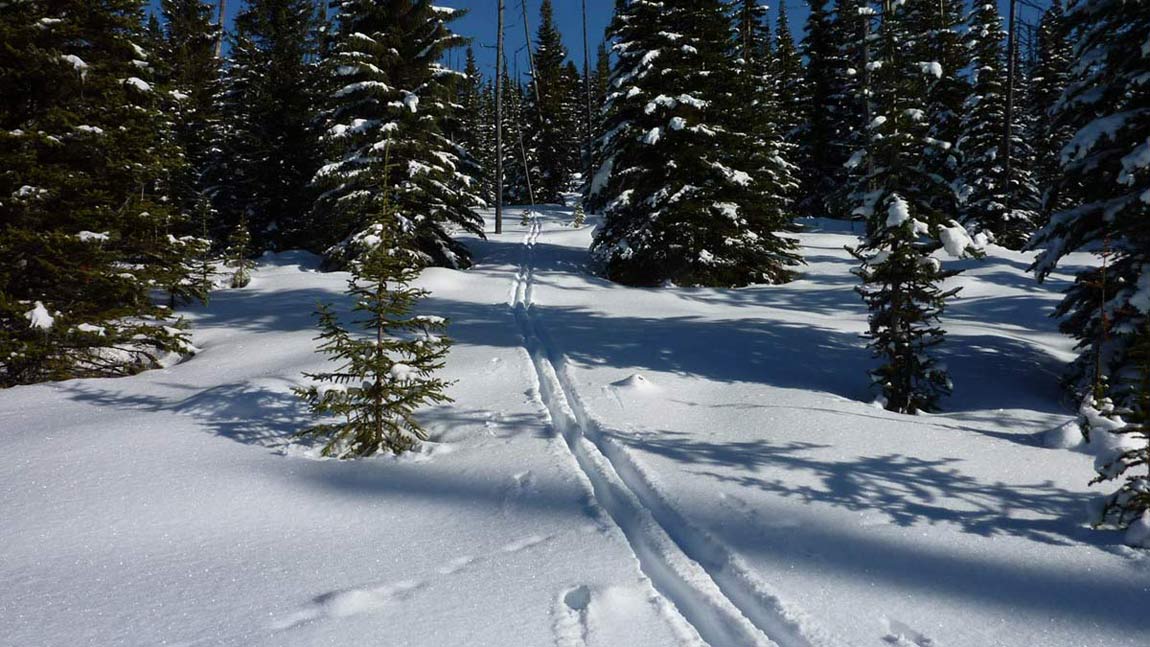 First tracks on Sunny Slope